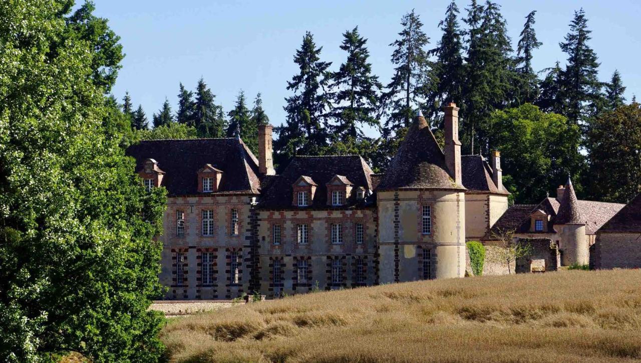 Chateau De La Riviere Pontgouin Bagian luar foto