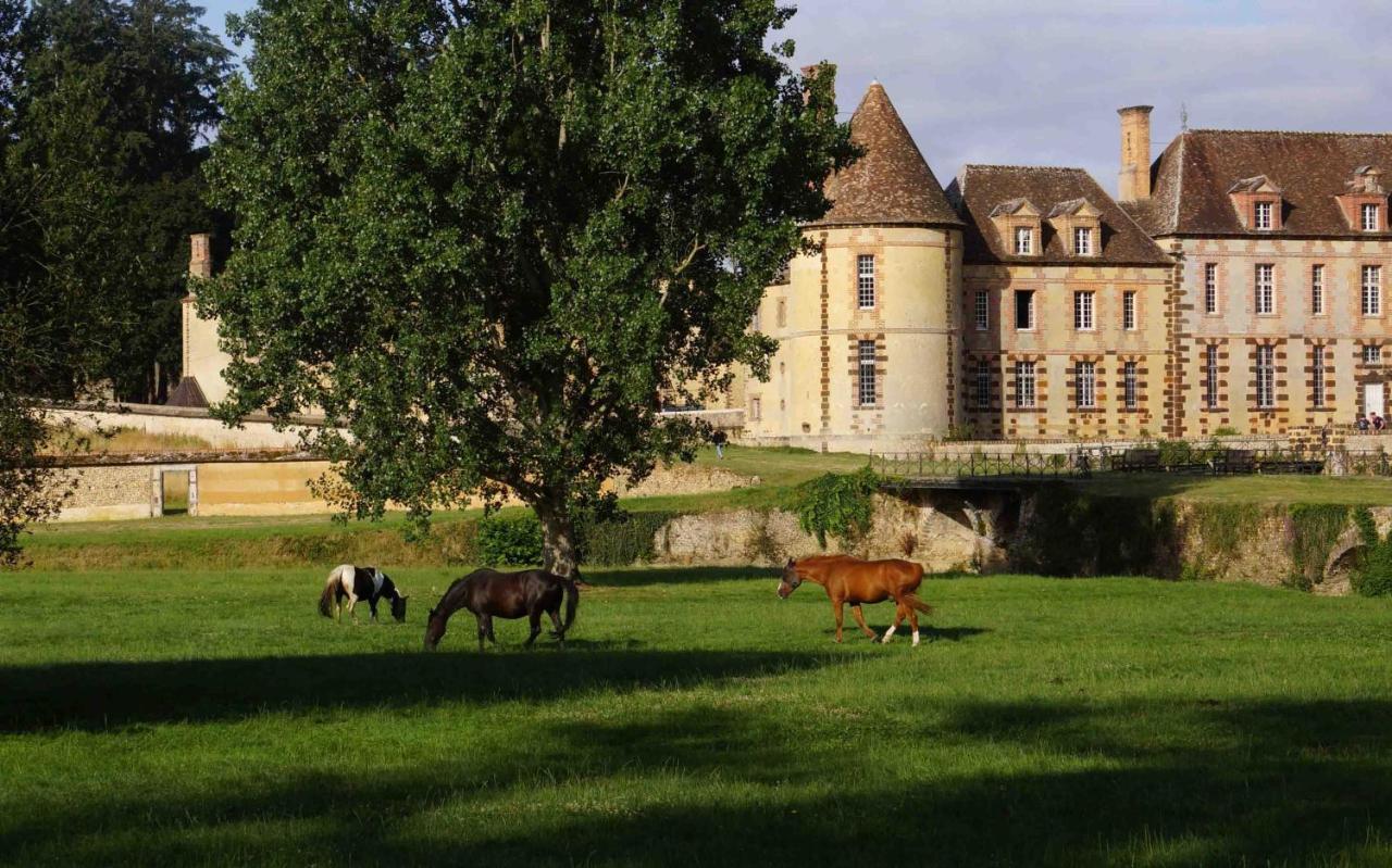 Chateau De La Riviere Pontgouin Bagian luar foto